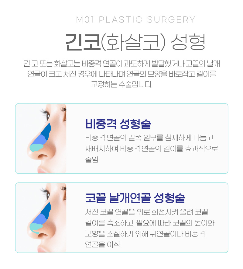 긴코(화살코) 성형