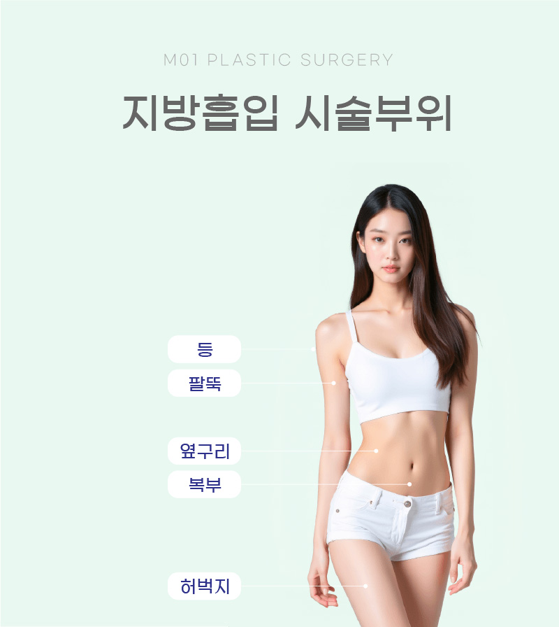 지방흡입 시술부위