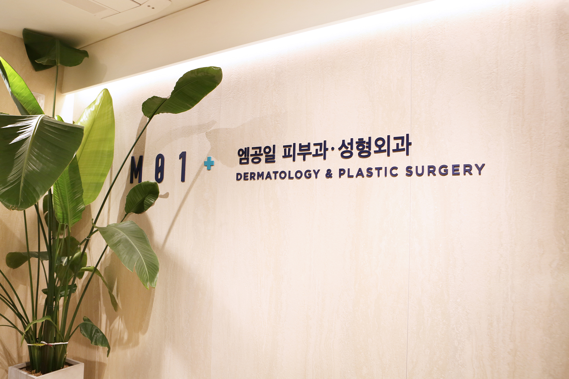 엠공일의원 내부 인테리어-1